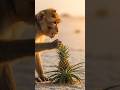 Ek Pineapple Ne Registan Badal Diya…Phir Bijli Gir Gayi #animals #viral #shorts @MrBeast