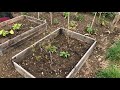 Allotment Update 3