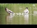 ひとつとひとつ  /  1+1=2ではないことは、自ら学ぶ。