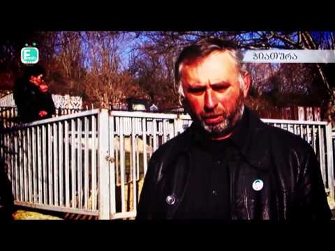 კიდევ ერთი გარდაცვლილი პოლიციელი - ბურუსით მოცული საქმე