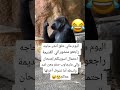 ههههه متتتتتتتتت ضحكككككك هسترية 