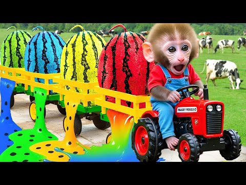Jagannath Rath Yatra 2025 LIVE | Rath Yatra 2025 Live From Puri Jagannath Dham | Puri Festival