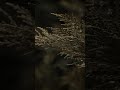 Lightroom edit proces