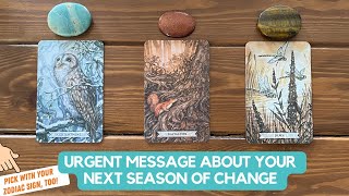 Urgent Message About Your Next Season Of Change | Timeless Reading