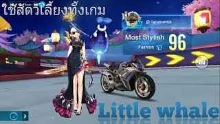 รีวิวสัตว์เลี้ยง little whale