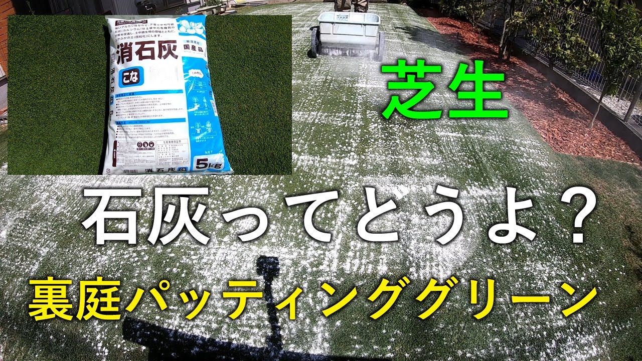 自宅ベント芝 芝生に石灰ってどうよ パッティンググリーン Youtube 自宅ベント芝 芝生に石灰ってどうよ パッティンググリーン Youtube