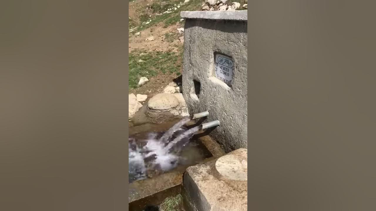 travazol ne işe yarar lise ueniformas