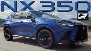 Lexus NX350 AWD F Sport  You Can Smell The Sport  Test Drive | Everyday Driver