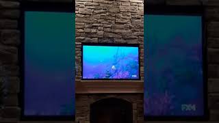Nemo ~ Marlin's Death Finding Nemo Marlin S Tragedy