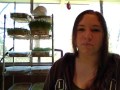 DIY Easy Livestock Sprouted Fodder System Explained DIY Easy Livestock Sprouted Fodder System Explained