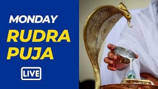 Rudra Puja | 29 April 2024  | Live From VDS Bangalore Ashram