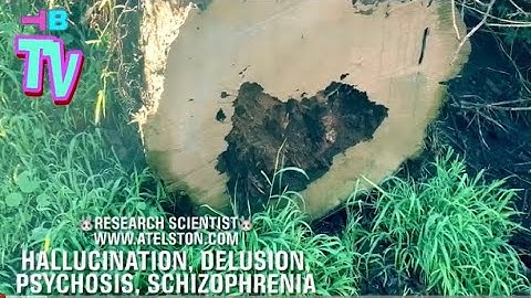 Omniscient/Omnipotent/Omnipresent/Targeted Individual/Gangstalking PT5263 Extrasensory/Chosen Ones