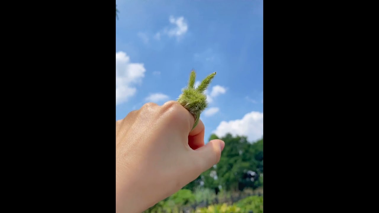 Cách làm nhẫn cỏ - youtube