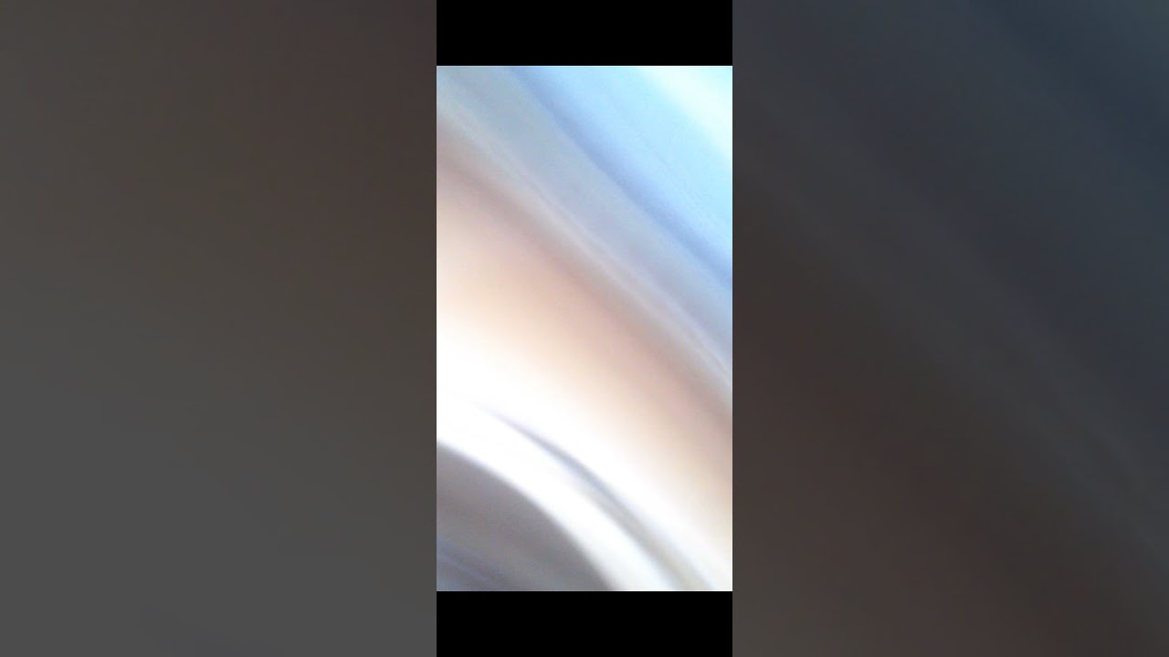 australian huntsman spider jumps on man