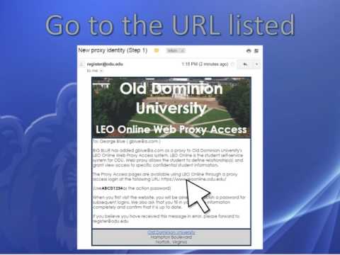 Leo Online Proxy Feature