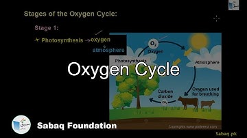 Oxygen Cycle, General Science Lecture | Sabaq.pk