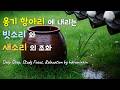 🏺 옹기 빗소리 & 새소리 ASMR | 단기 집중, 낮잠, 자연 힐링 | Korean Onggi Rain & Birds (Short Focus)