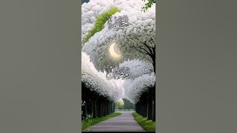 #اكسبلور #تلاوة_خاشعة #صلوا_على_رسول_الله #قرآن #رمضان