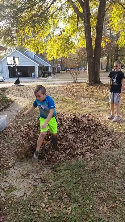 fun in the leaves