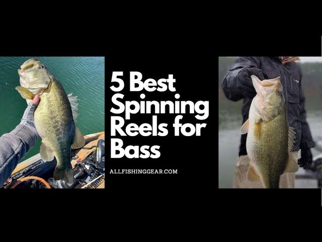 5 Best Spinning Reels for Bass 