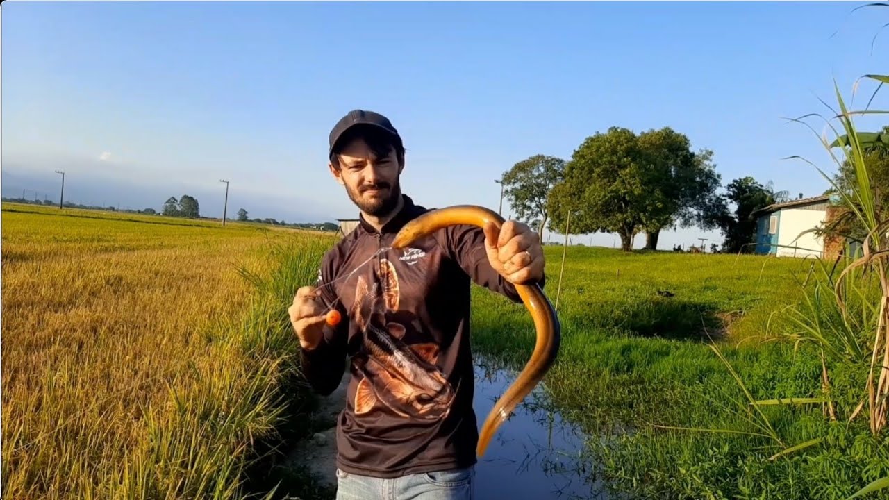 NESSA PESCARIA SAIU ATÉ O PEIXE COBRA ( MUSSUM )