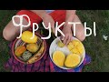 Путешествие в Гану 6. Фрукты Ганы/Ghana trip 6. Fruit