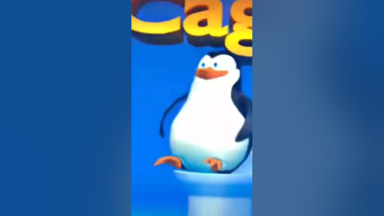 пингвины🐧 - YouTube