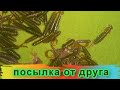 силиконовые приманки  в подарок от друга