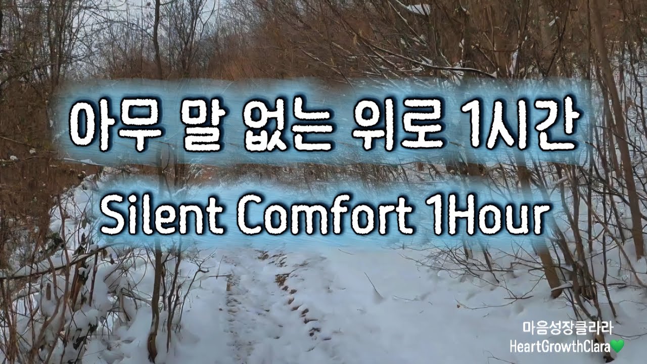 조용히 틀어두는 하루 마무리 음악 1시간💚 | Peaceful Background Music to Unwind 1Hour💚