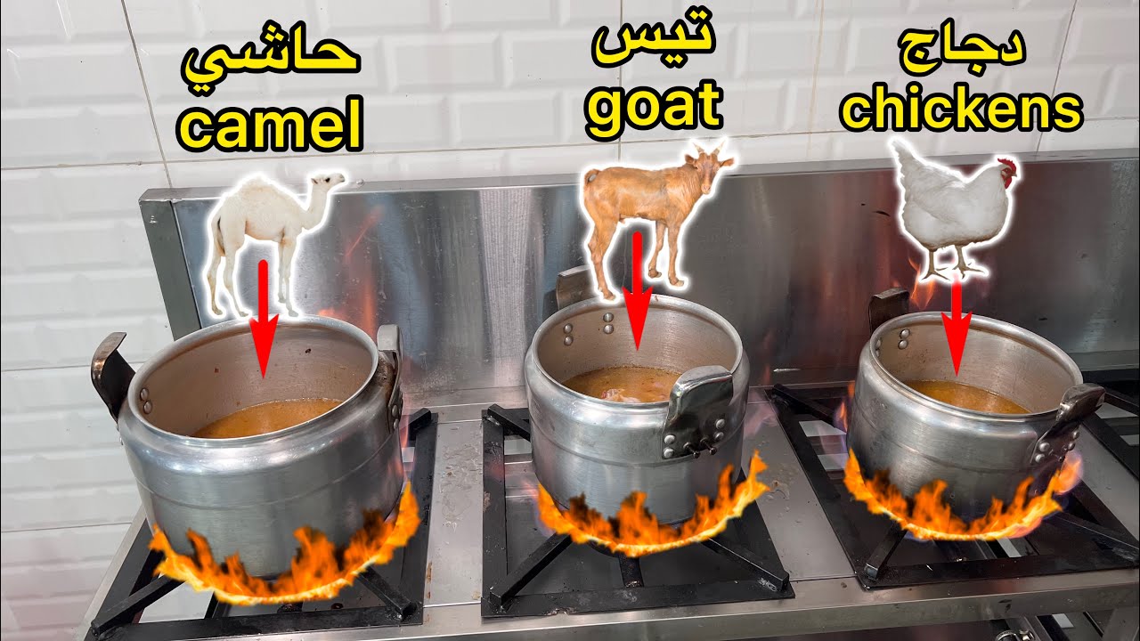 شيف سوداني طبخ مضغوط لحم تيس وحاشي ودجاج Saudi Kabsa