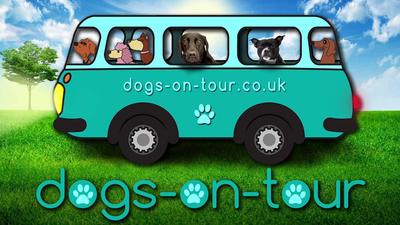 dogs on tour mit peggy
