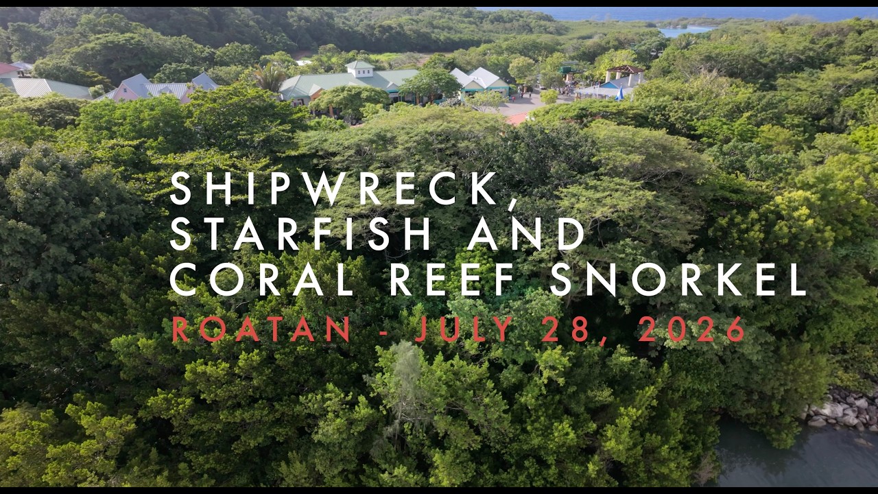 Shipwreck, Starfish and Coral Reef Snorkel - Roatan