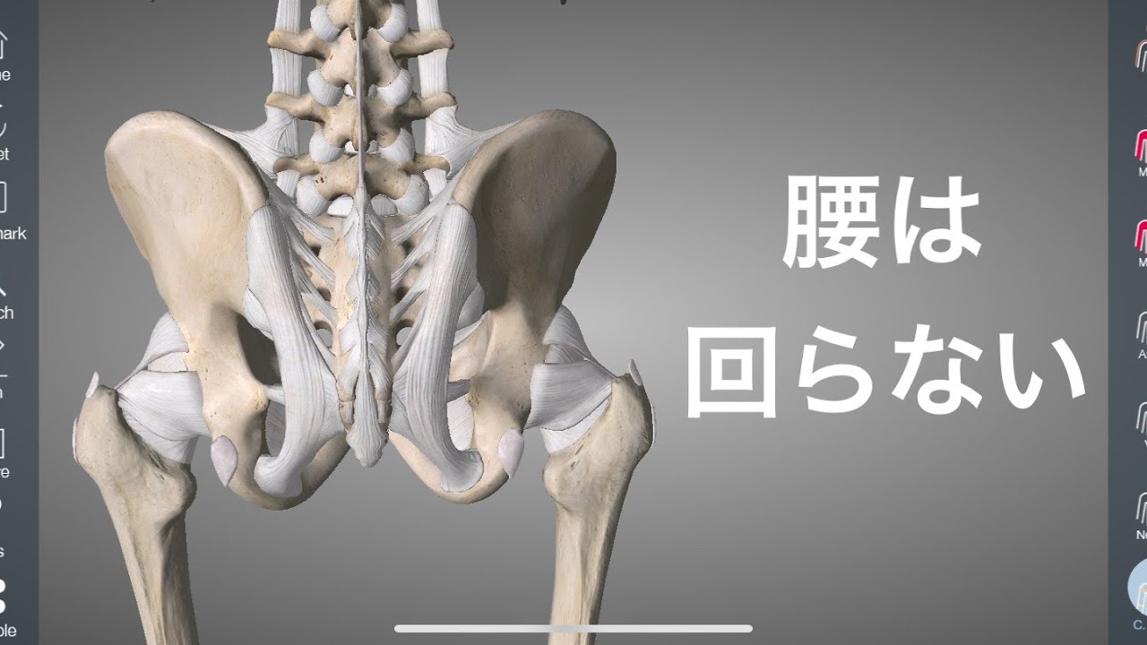 体幹の捻りは腰じゃない！動きを解説してみた