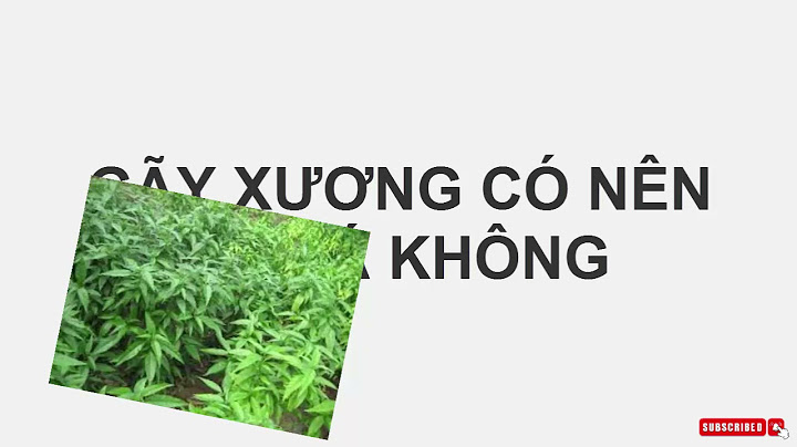 Rạn xương bó lá khoảng bao nhiêu ngày thì khỏi năm 2024