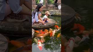 First time Dev ngasih ikan makan di Lembang park and zoo #lembangparkandzoo #kebunbinatang