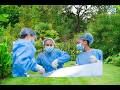 Operaciones de Jardín