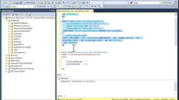 Use BULK INSERT to load text files into SQL Server Database [HD]