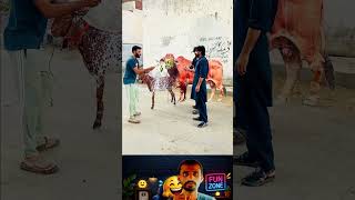 Viral fake Cow sale 😅🔥 Wait to End 😱 #funny #youtubeshorts #comedy #prank #short Viral fake Cow sale 😅🔥 Wait to End 😱 #funny #youtubeshorts #comedy #prank #short
