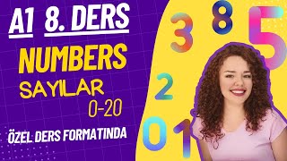İngi̇li̇zce A1-8. Ders Numbers Sayılar - İngilizce Öğreniyorum