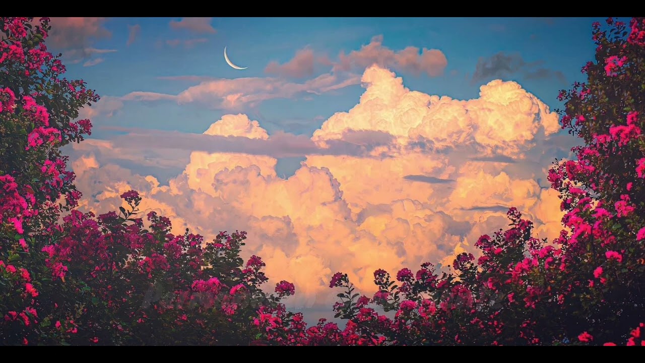 Sparkle in your eyes   sub-español