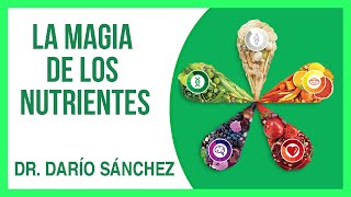 La Magia de los Nutrientes - Dr. Dario Sánchez | Networkers 21