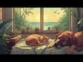 Peaceful Lo-Fi for Cats & Dogs | Relaxing Beats, Ocean Waves & Cozy Pet Vibes