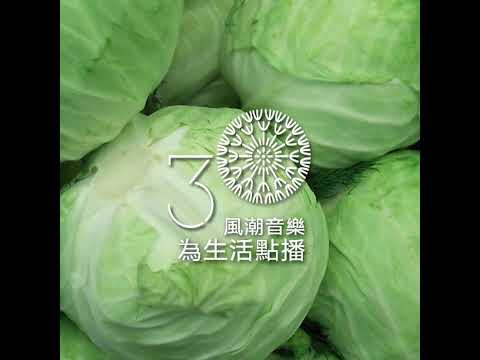 【吃喝玩樂】高麗菜的一百種風味