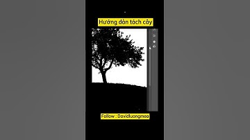 Hướng dẫn tách cây ra khỏi nền hiệu quả #davidluongmea #designer#design#thietke#photoshop#hocthietke