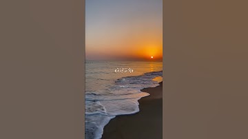 ( وخشعت الاصوات للرحمن فلا تسمع الا همسا ) 🤍 ، شريف مصطفى / سورة طه .
