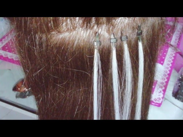 Grapas extensiones