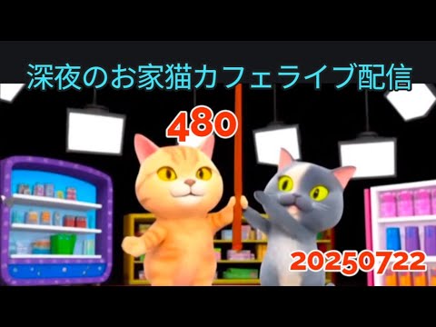 深夜のお家猫カフェライブ配信 480