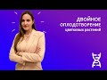 Двойное оплодотворение цветковых растений  | Кружок