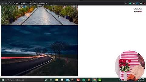 8.  Html Images - HTML CRASH COURSE 2020 - Frontend Website Development