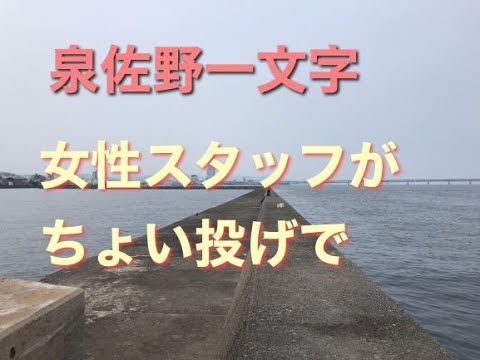泉佐野一文字 女性スタッフがちょい投げでfishingmax二色の浜 Youtube 泉佐野一文字 女性スタッフがちょい投げでfishingmax二色の浜 Youtube